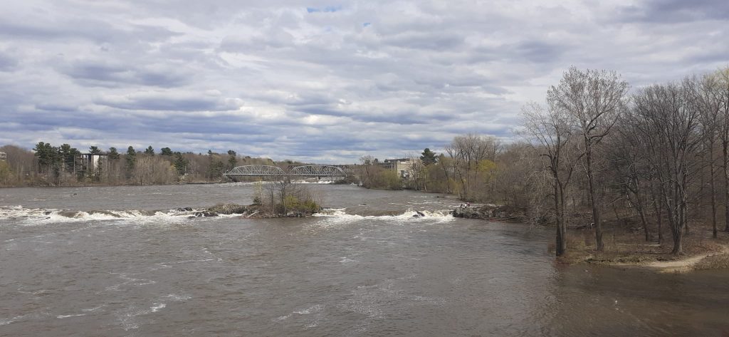IMG-20240503-WA0000