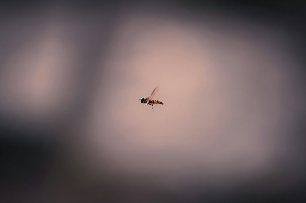 tasos-mansour-QHmW-fmCLSs-unsplash