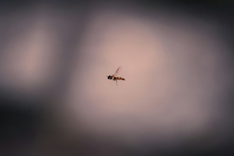 tasos-mansour-QHmW-fmCLSs-unsplash