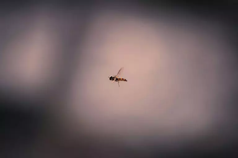 tasos-mansour-QHmW-fmCLSs-unsplash