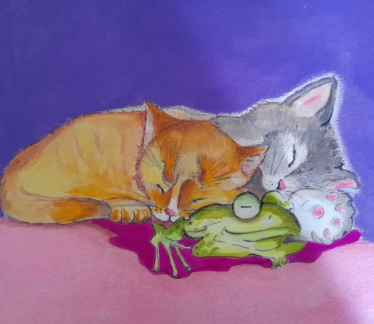 Chats-endormis-FEDMC