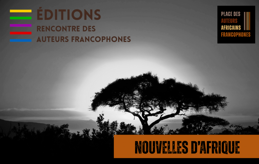 VISUEL-NOUVELLES-AFRIQUE