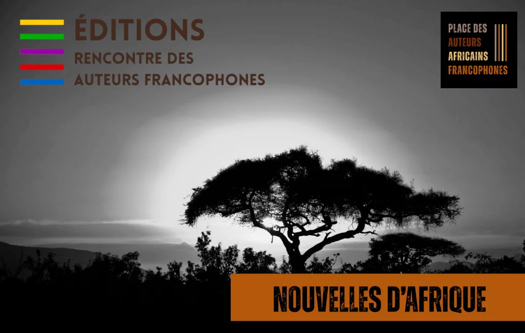 VISUEL-NOUVELLES-AFRIQUE