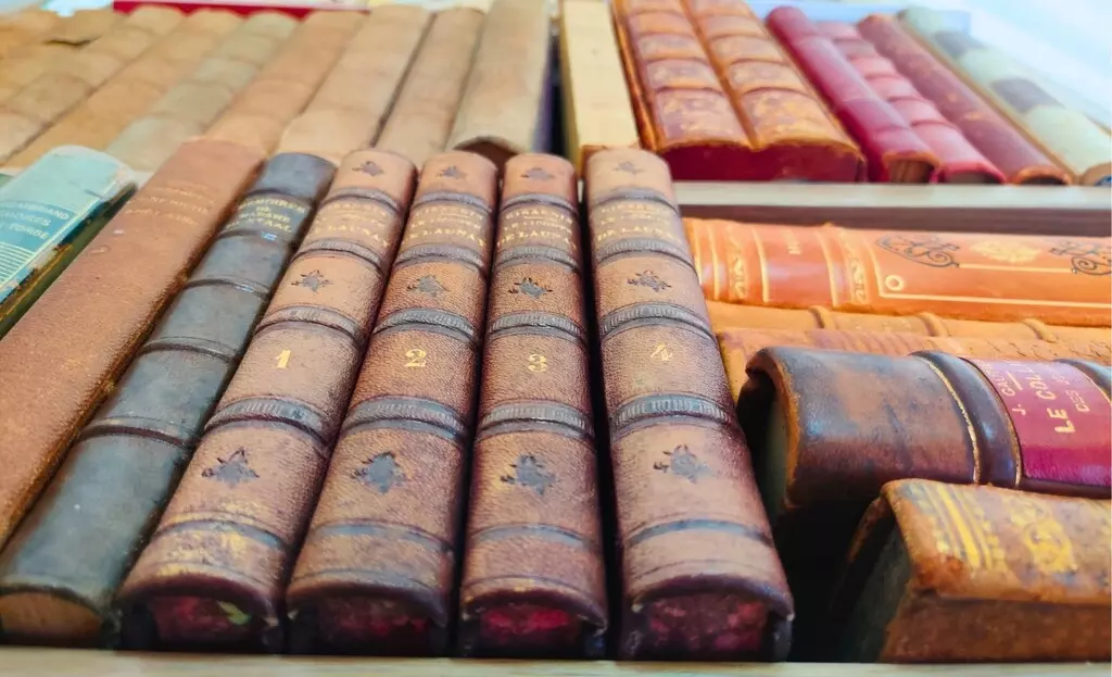 Gabrielle-Dubois-bibliographie