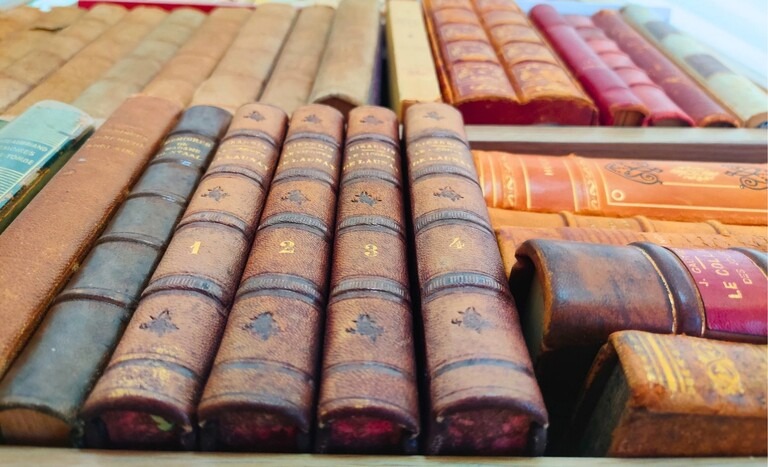 Gabrielle-Dubois-bibliographie