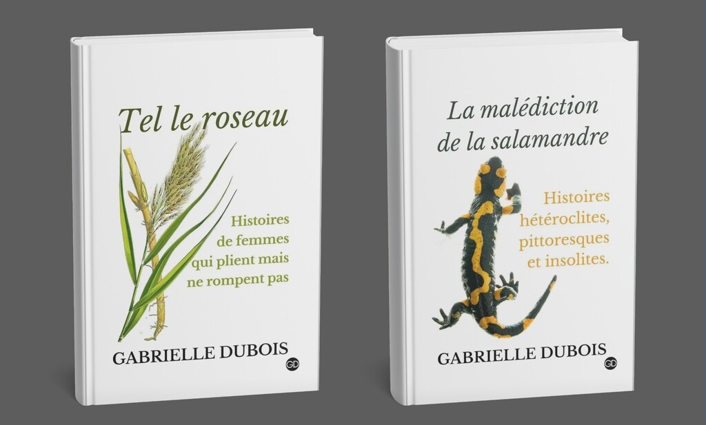 Gabrielle-Dubois-ecrivain
