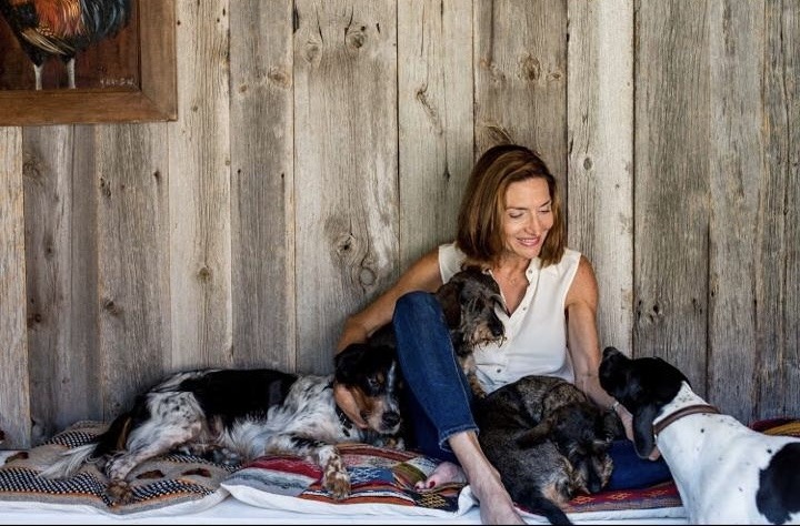 a15a8fdf-4b1e-449c-94d0-c1de3ca62b1e-2