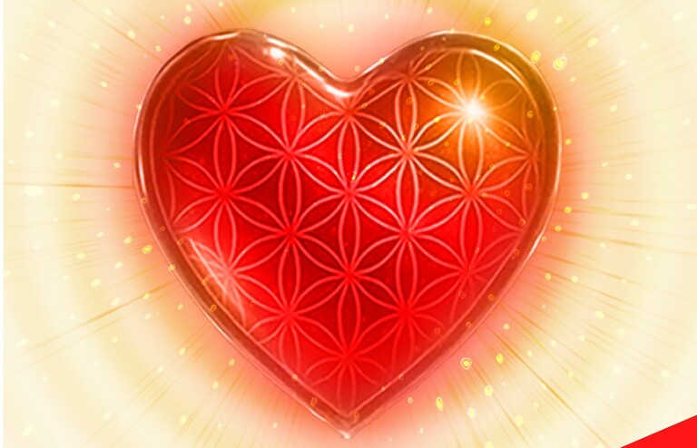 partie-de-la-couv-pour-auteurs-francophones