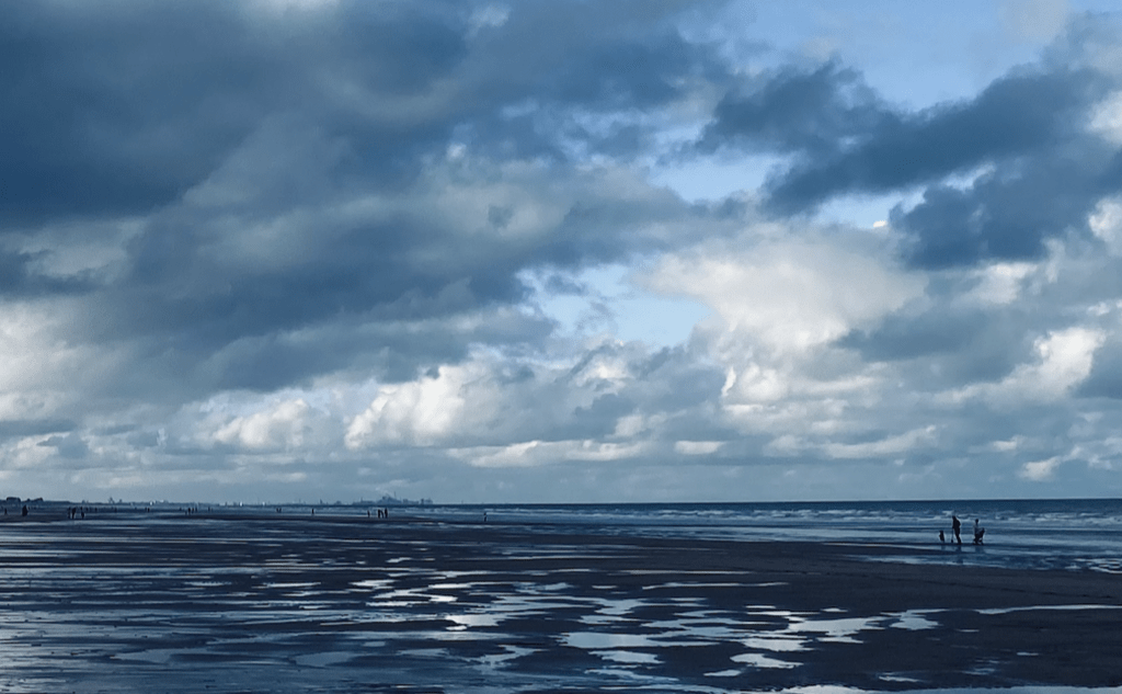 Capture-decran-2026-04-08-a-08.49.09