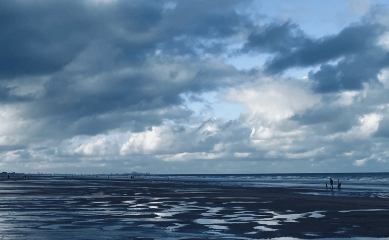 Capture-decran-2026-04-08-a-08.49.09