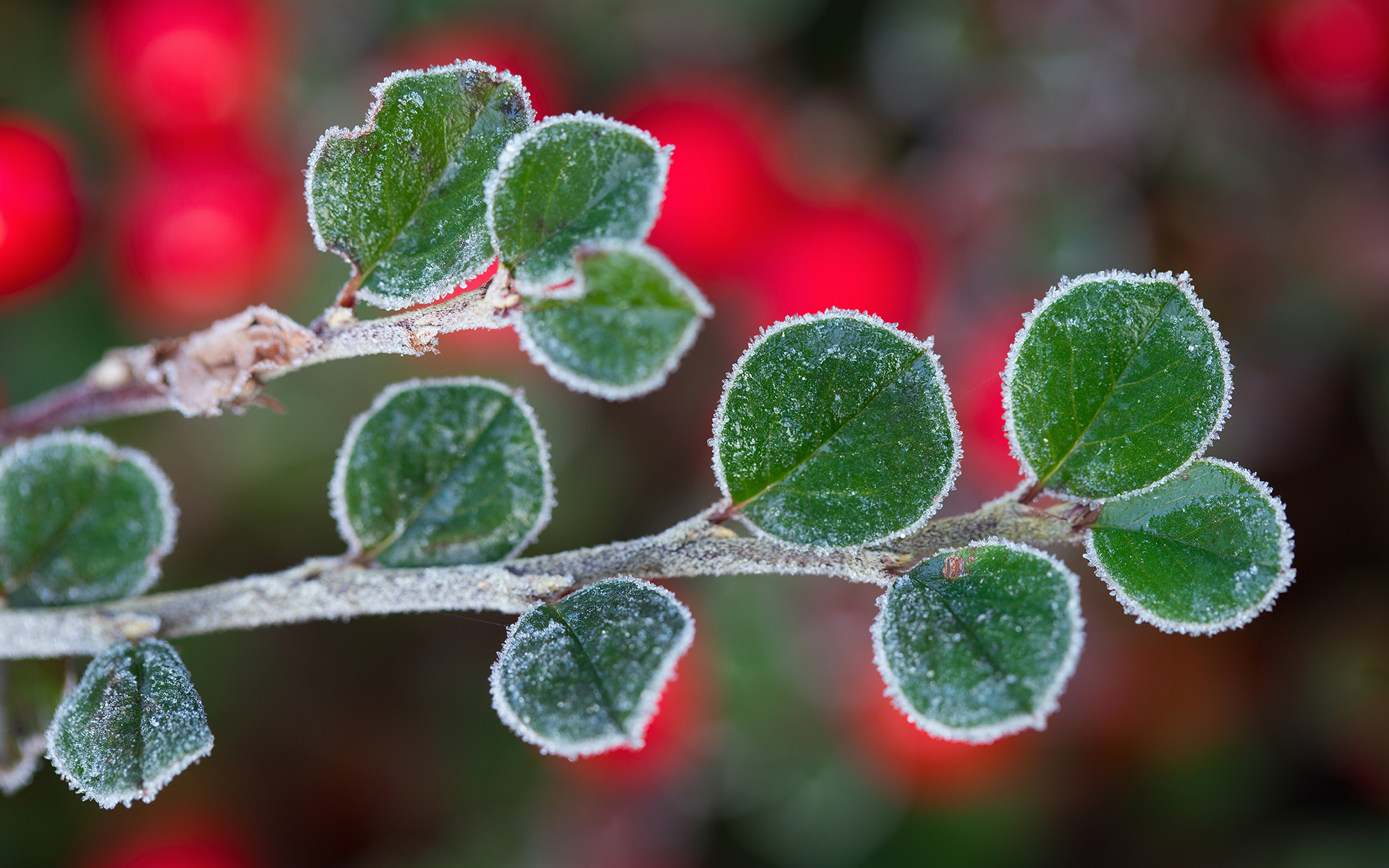 Rencontre et dédicaces avec Patricia Raccah